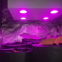 Гроубокс в сборе Джин 1400х1000х2000 + Гагарин 4