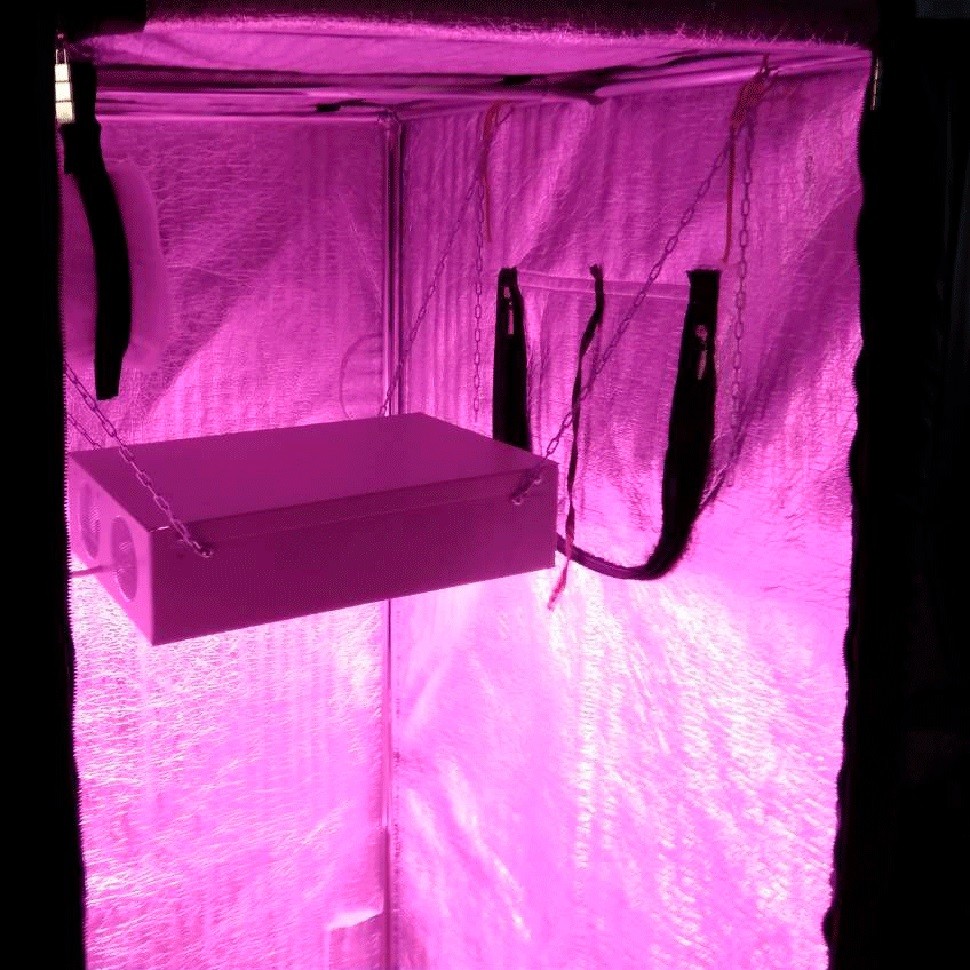 Гроубокс в сборе Джин 1400х1000х2000 + Гагарин 4 недорого