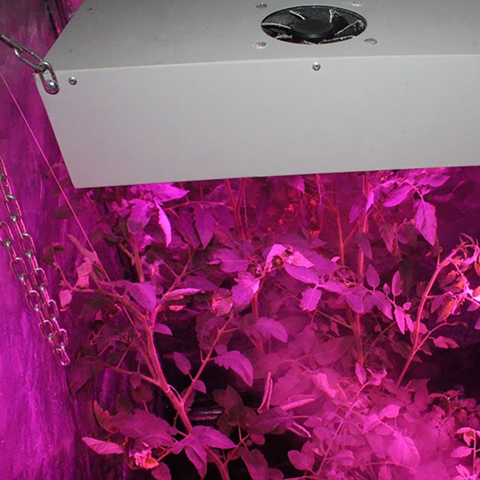 Гроубокс в сборе Джин 600х600х1400 + Гагарин 1 для марихуаны