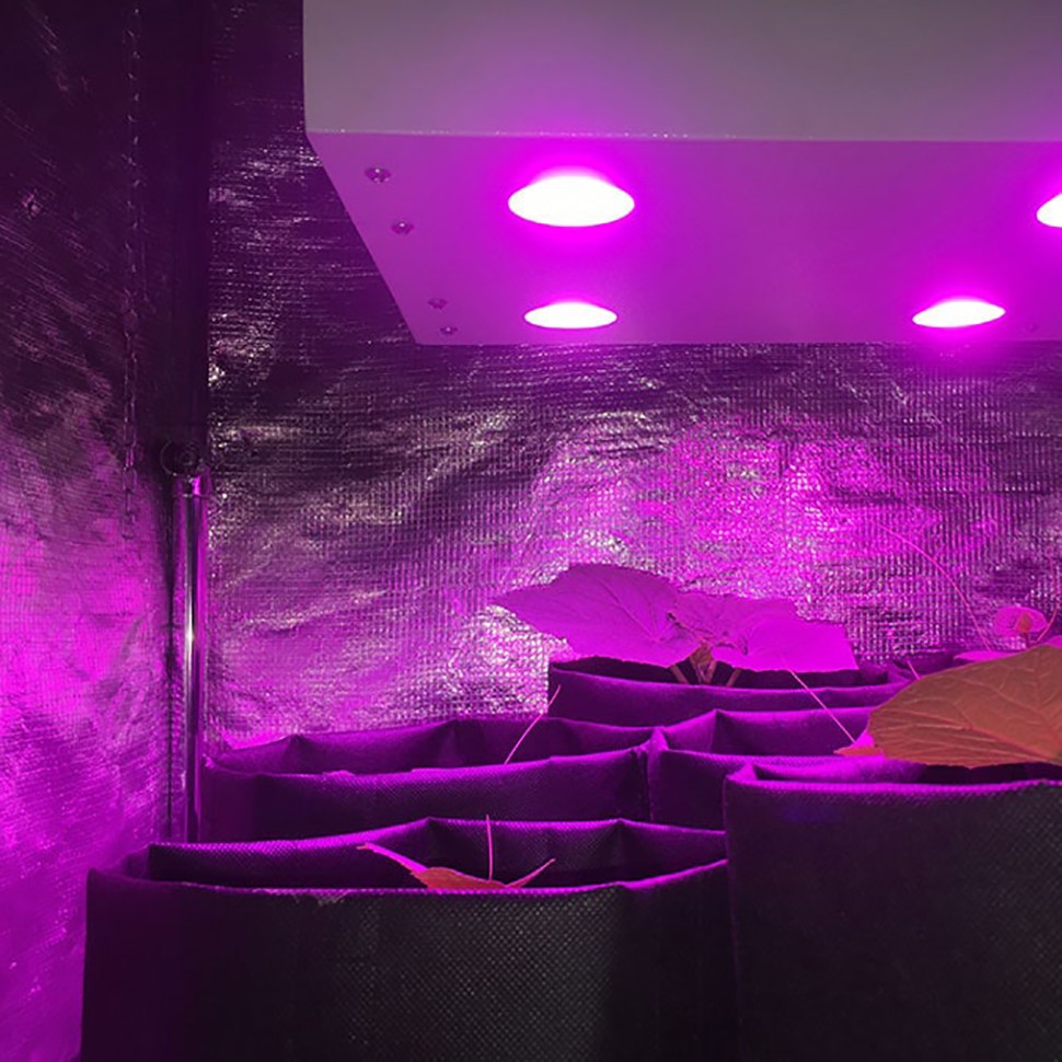 Гроубокс в сборе Джин 800х800х1600 + Гагарин 1 в магазине