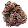 Семена каннабиса  Purple OG feminised Ganja Seeds