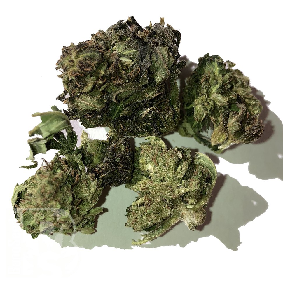 Blue Himalaya feminised Ganja Seeds