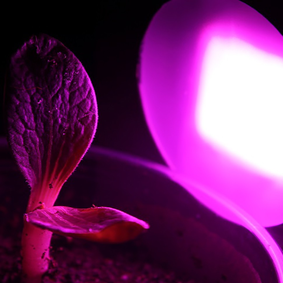 Линейный светодиодный фитосветильник LED Союз 5 для конопли