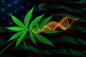 Что такое американская генетика?