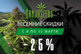 Весенняя акция - скидки на семена каннабиса и споры грибов