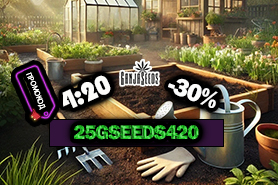 4:20 — скидка 30% на все сорта GanjaSeeds!